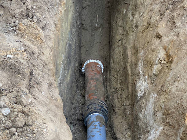 Best Flood restoration services  in Rosendale, WI