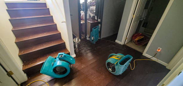 Best Flooded house restoration  in Rosendale, WI