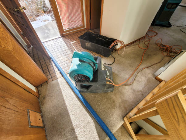 Best Sewage cleanup and water damage restoration  in Rosendale, WI