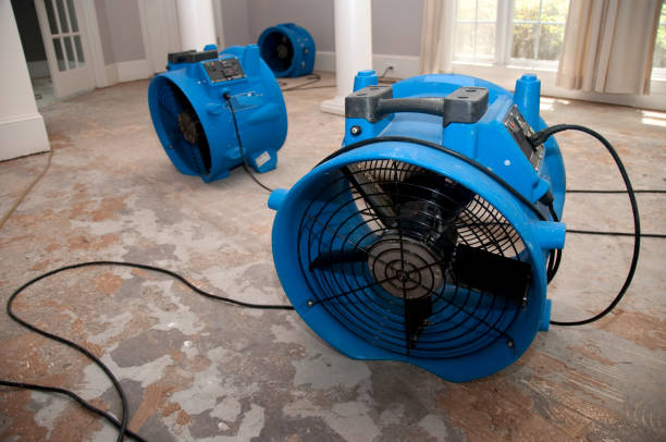 Best 24/7 water damage repair  in Rosendale, WI
