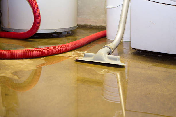 Best Commercial water damage restoration  in Rosendale, WI