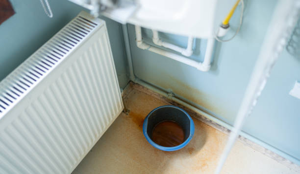 Best Residential water damage restoration  in Rosendale, WI