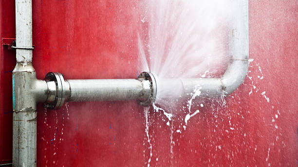 Best Ceiling water damage repair  in Rosendale, WI